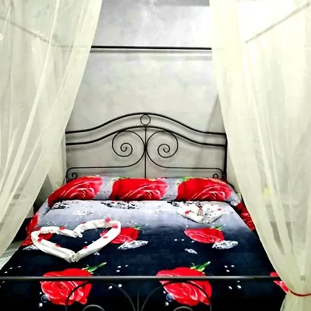 Napoleon-cuore 3*